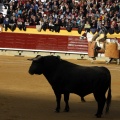 Feria taurina de la Magdalena