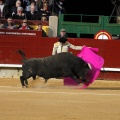 Feria taurina de la Magdalena