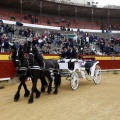 Feria taurina de la Magdalena