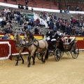 Feria taurina de la Magdalena