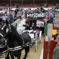 Feria taurina de la Magdalena