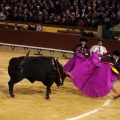 Feria taurina de la Magdalena