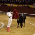 Feria taurina de la Magdalena