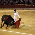 Feria taurina de la Magdalena