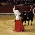 Feria taurina de la Magdalena