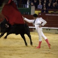 Feria taurina de la Magdalena