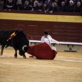 Feria taurina de la Magdalena