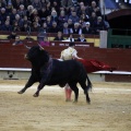 Feria taurina de la Magdalena