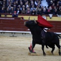 Feria taurina de la Magdalena