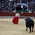 Feria taurina de la Magdalena