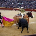 Feria taurina de la Magdalena