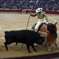 Feria taurina de la Magdalena