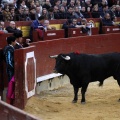 Feria taurina de la Magdalena