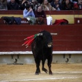 Feria taurina de la Magdalena