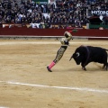 Feria taurina de la Magdalena