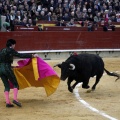 Feria taurina de la Magdalena