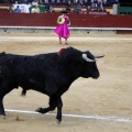 Feria taurina de la Magdalena