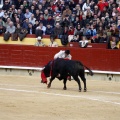 Feria taurina de la Magdalena