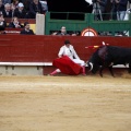 Feria taurina de la Magdalena