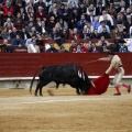 Feria taurina de la Magdalena