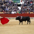 Feria taurina de la Magdalena