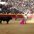 Feria taurina de la Magdalena