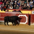 Feria taurina de la Magdalena