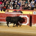 Feria taurina de la Magdalena