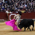 Feria taurina de la Magdalena