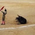 Feria taurina de la Magdalena