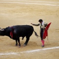 Feria taurina de la Magdalena