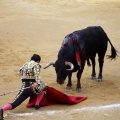 Feria taurina de la Magdalena