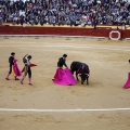 Feria taurina de la Magdalena