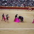 Feria taurina de la Magdalena