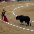 Feria taurina de la Magdalena