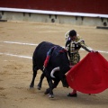 Feria taurina de la Magdalena