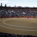 Feria taurina de la Magdalena