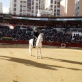 Feria taurina de la Magdalena