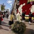 Ofrenda de flores a la Virgen del Lledó