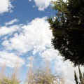 Castellón, Magdalena 2016