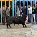 Castellón,  La Llosa 2016