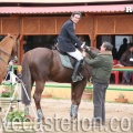 Campeonato Magdalena saltos hípica Poni Club Castellón