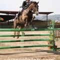 Campeonato Magdalena saltos hípica Poni Club Castellón