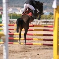 Campeonato Magdalena saltos hípica Poni Club Castellón
