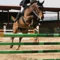Campeonato Magdalena saltos hípica Poni Club Castellón