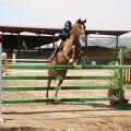 Campeonato Magdalena saltos hípica Poni Club Castellón