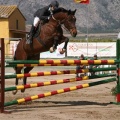 Campeonato Magdalena saltos hípica Poni Club Castellón