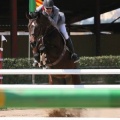 Campeonato Magdalena saltos hípica Poni Club Castellón