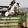 Campeonato Magdalena saltos hípica Poni Club Castellón