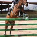 Campeonato Magdalena saltos hípica Poni Club Castellón